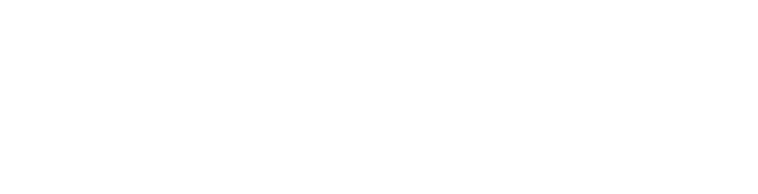 The National Association of Professional Inspectors and Testers